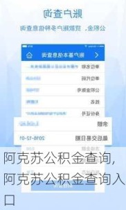 阿克苏公积金查询,阿克苏公积金查询入口