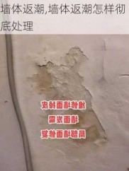 墙体返潮,墙体返潮怎样彻底处理