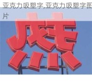 亚克力吸塑字,亚克力吸塑字图片