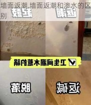 墙面返潮,墙面返潮和渗水的区别