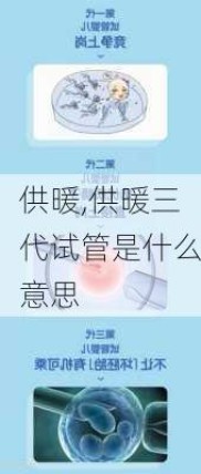 供暖,供暖三代试管是什么意思