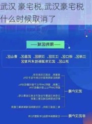 武汉 豪宅税,武汉豪宅税什么时候取消了