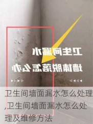 卫生间墙面漏水怎么处理,卫生间墙面漏水怎么处理及维修方法