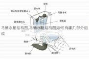 马桶水箱结构图,马桶水箱结构图如何 有哪几部分组成