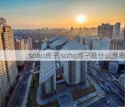 soho房子,soho房子是什么意思