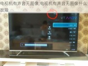 电视机有声音无图像,电视机有声音无图像什么故障