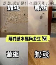 返潮,返潮是什么原因引起的