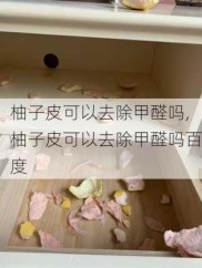 柚子皮可以去除甲醛吗,柚子皮可以去除甲醛吗百度