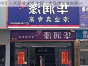 中国十大品牌油漆,中国十大品牌油漆有哪些