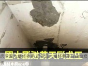 房屋漏水维修费用,房屋漏水维修费用应由谁负责