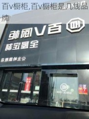 百v橱柜,百v橱柜是几线品牌