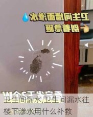 卫生间漏水,卫生间漏水往楼下渗水用什么补救