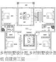 乡村别墅设计图,乡村别墅设计图纸 自建房三层