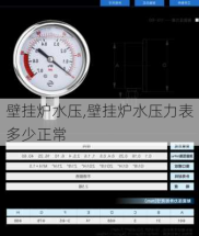 壁挂炉水压,壁挂炉水压力表多少正常
