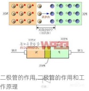 二极管的作用,二极管的作用和工作原理