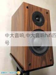 中大音响,中大音响hifi四号