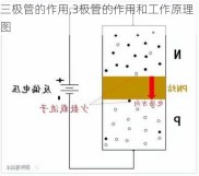 三极管的作用,3极管的作用和工作原理图