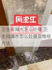 卫生间漏水怎么处理,卫生间漏水怎么处理及维修方法