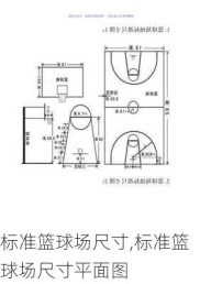 标准篮球场尺寸,标准篮球场尺寸平面图