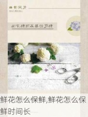 鲜花怎么保鲜,鲜花怎么保鲜时间长