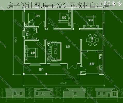 房子设计图,房子设计图农村自建房子