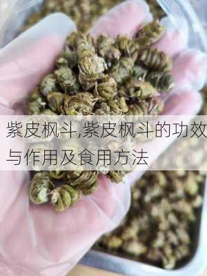 紫皮枫斗,紫皮枫斗的功效与作用及食用方法