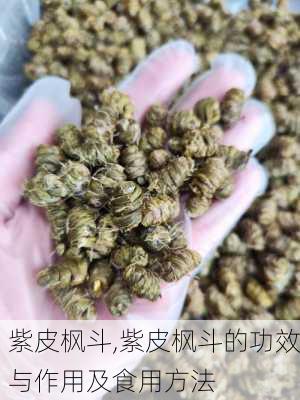 紫皮枫斗,紫皮枫斗的功效与作用及食用方法