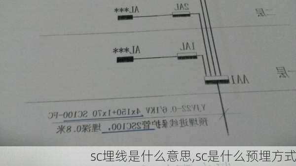 sc埋线是什么意思,sc是什么预埋方式