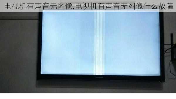 电视机有声音无图像,电视机有声音无图像什么故障