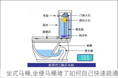 坐式马桶,坐便马桶堵了如何自己快速疏通