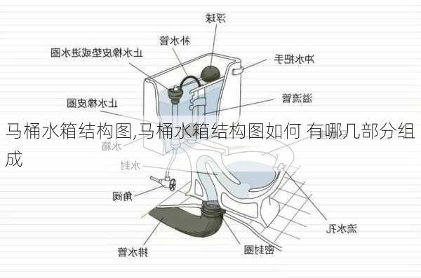 马桶水箱结构图,马桶水箱结构图如何 有哪几部分组成