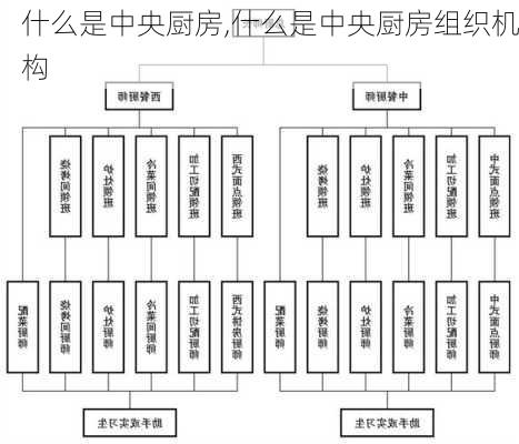 什么是中央厨房,什么是中央厨房组织机构