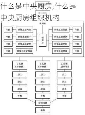 什么是中央厨房,什么是中央厨房组织机构