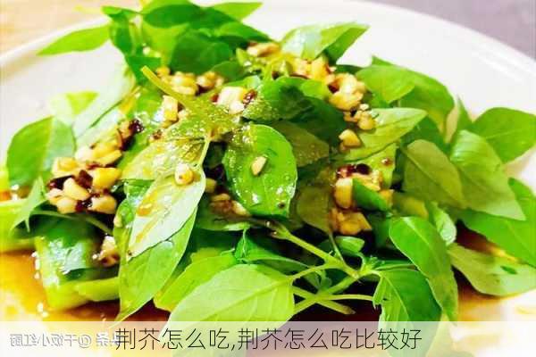 荆芥怎么吃,荆芥怎么吃比较好