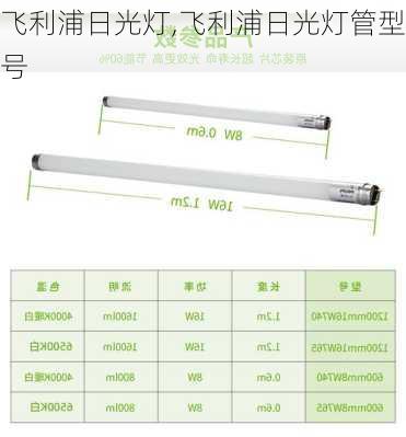 飞利浦日光灯,飞利浦日光灯管型号