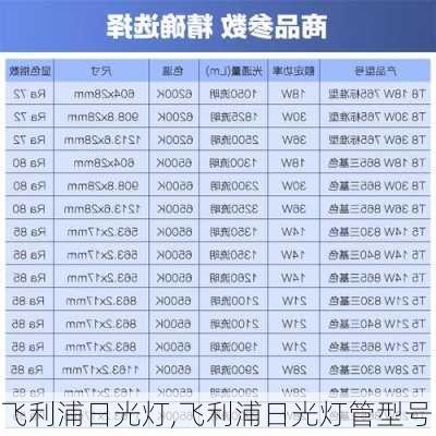 飞利浦日光灯,飞利浦日光灯管型号