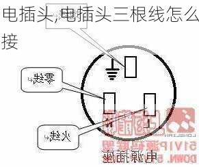 电插头,电插头三根线怎么接