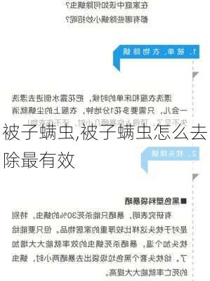 被子螨虫,被子螨虫怎么去除最有效