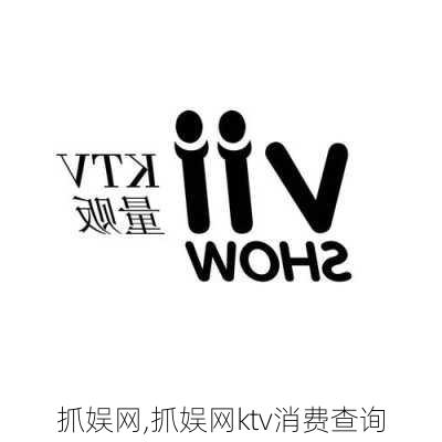 抓娱网,抓娱网ktv消费查询