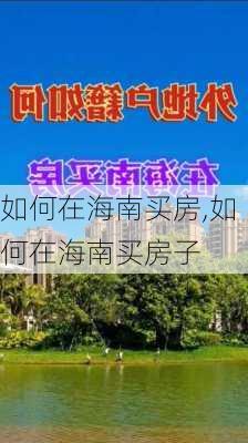 如何在海南买房,如何在海南买房子