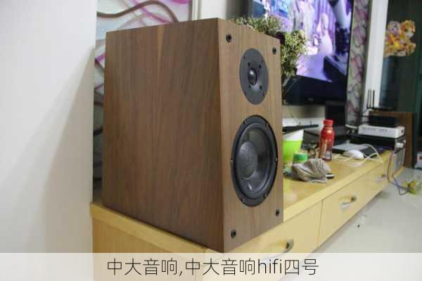 中大音响,中大音响hifi四号