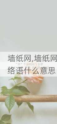 墙纸网,墙纸网络语什么意思