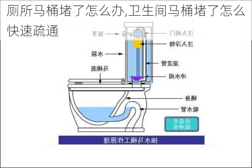 厕所马桶堵了怎么办,卫生间马桶堵了怎么快速疏通