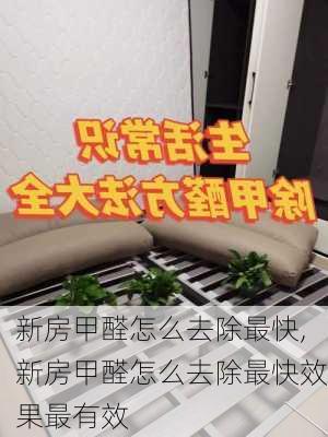 新房甲醛怎么去除最快,新房甲醛怎么去除最快效果最有效