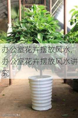 办公室花卉摆放风水,办公室花卉摆放风水讲究