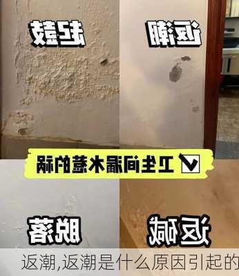 返潮,返潮是什么原因引起的