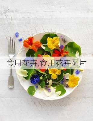 食用花卉,食用花卉图片