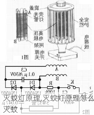 灭蚊灯原理,灭蚊灯原理怎么灭蚊