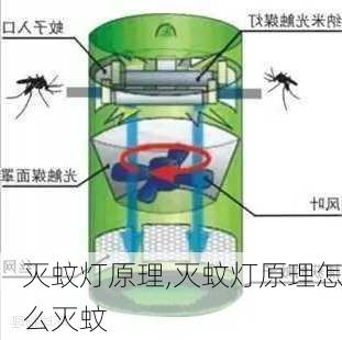 灭蚊灯原理,灭蚊灯原理怎么灭蚊