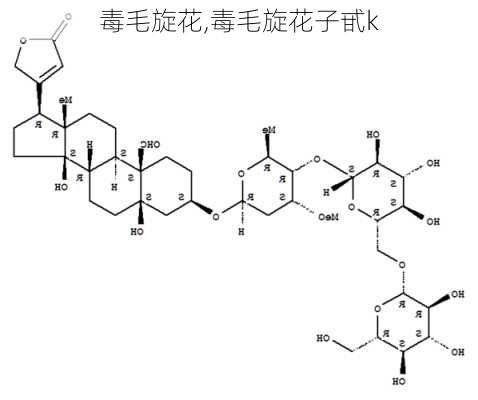 毒毛旋花,毒毛旋花子甙k